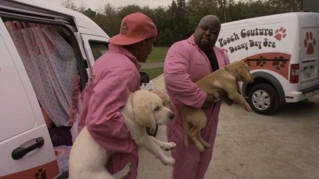 Marley ve Ben: Gençlik Yılları Fotoğrafı