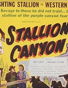 Stallion Canyon (1949) afişi
