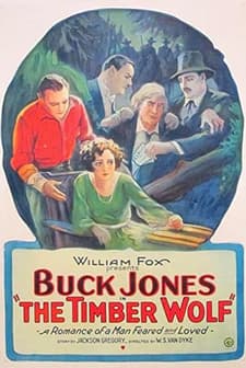 The Timber Wolf (1925) afişi