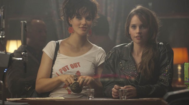 Albatross Fotoğrafı