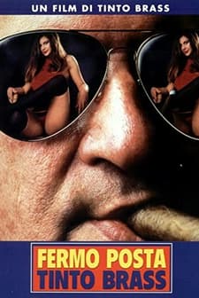 Posta Kutusu (1995) afişi