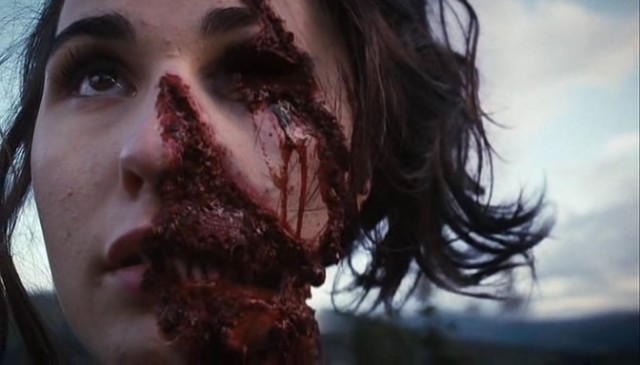 Lanetli Yaratık Fotoğrafı