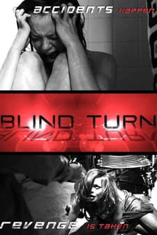 Blind Turn (2011) afişi
