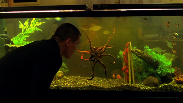 İhtiyar Delikanlı fotoğrafı