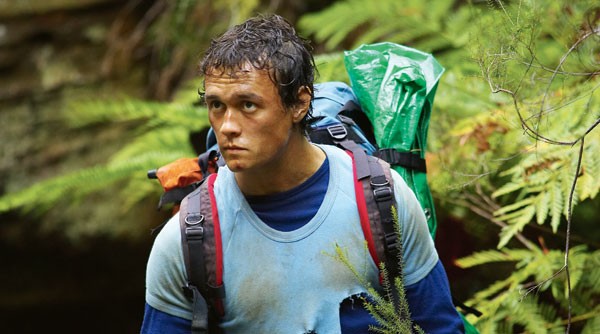 Monkey Puzzle fotoğrafı