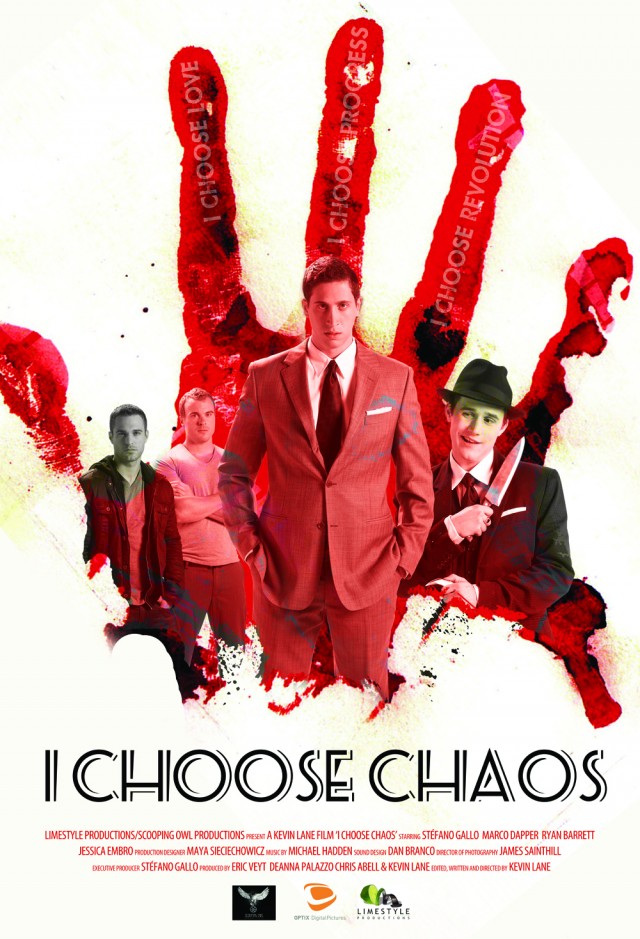 Kaosu Seçtim (2011) afişi