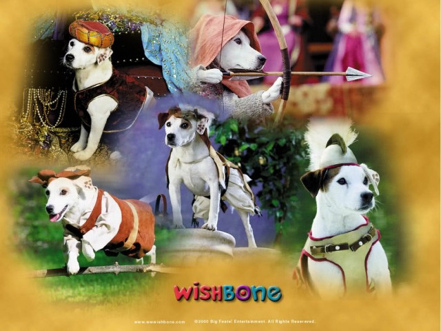 Wishbone,yaşa Wishbone Fotoğrafı