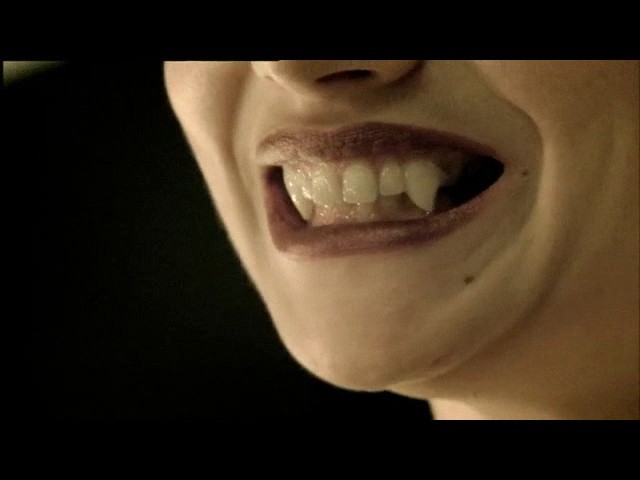 McFly Nowhere Left To Run Fotoğrafı