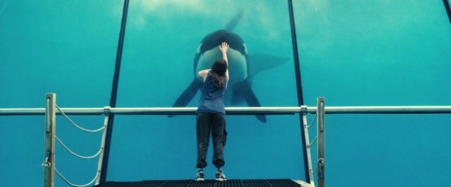 Pas ve Kemik Fotoğrafı