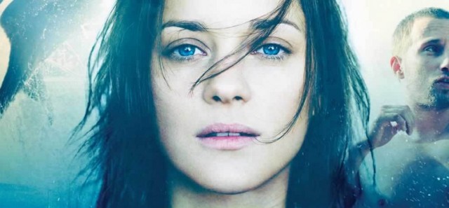 Pas ve Kemik Fotoğrafı