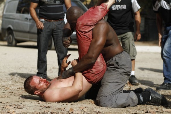 Pas ve Kemik Fotoğrafı