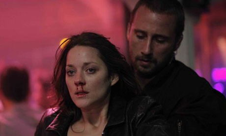 Pas ve Kemik Fotoğrafı