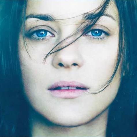 Pas ve Kemik Fotoğrafı