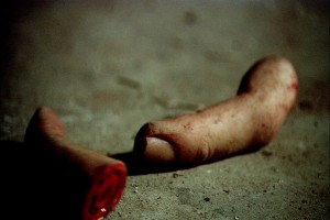 Kurt Kapanı Fotoğrafı