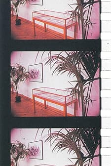 Un Jardin D'hiver (1974) afişi