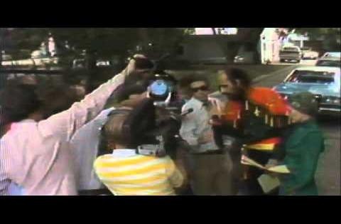 Square Grouper Fotoğrafı