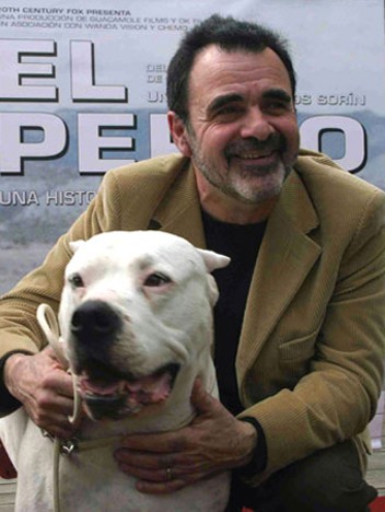 Bombon Köpek fotoğrafı