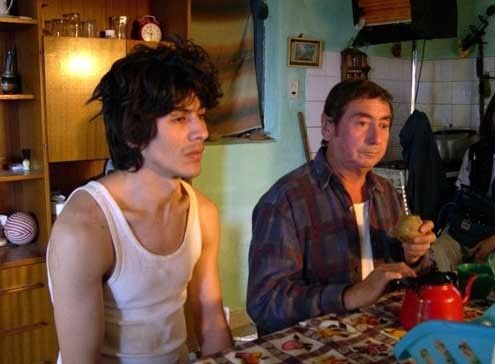 Bombon Köpek fotoğrafı