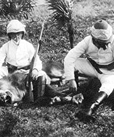 Løvejagten (1907) afişi