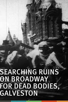 Searching Ruins On Broadway, Galveston, For Dead Bodies (1900) afişi