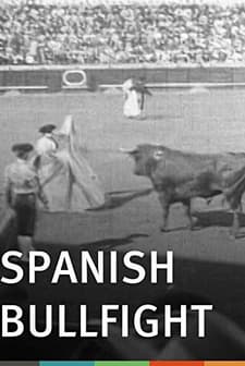 Spanish Bullfight (1900) afişi