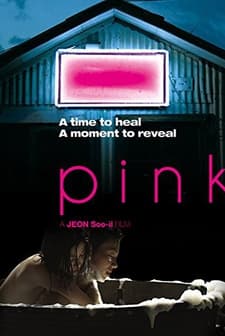 Pink (2011) afişi