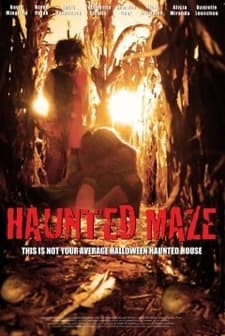 Haunted Maze (2011) afişi