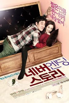 Never Ending Story (2012) afişi