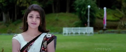 Mr Perfect Fotoğrafı