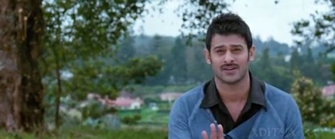 Mr Perfect Fotoğrafı