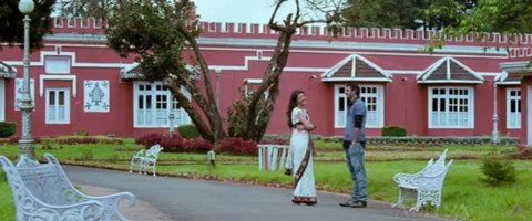 Mr Perfect fotoğrafı