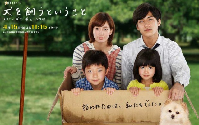 ınu O Kau To ıu Koto fotoğrafı