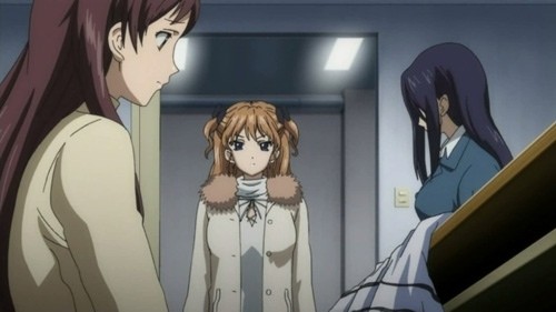 White Album Fotoğrafı