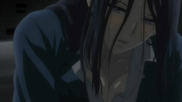 White Album Fotoğrafı