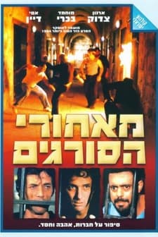 Duvarların ötesinde (1985) afişi