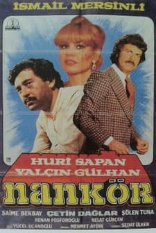 Nankör (1980) afişi
