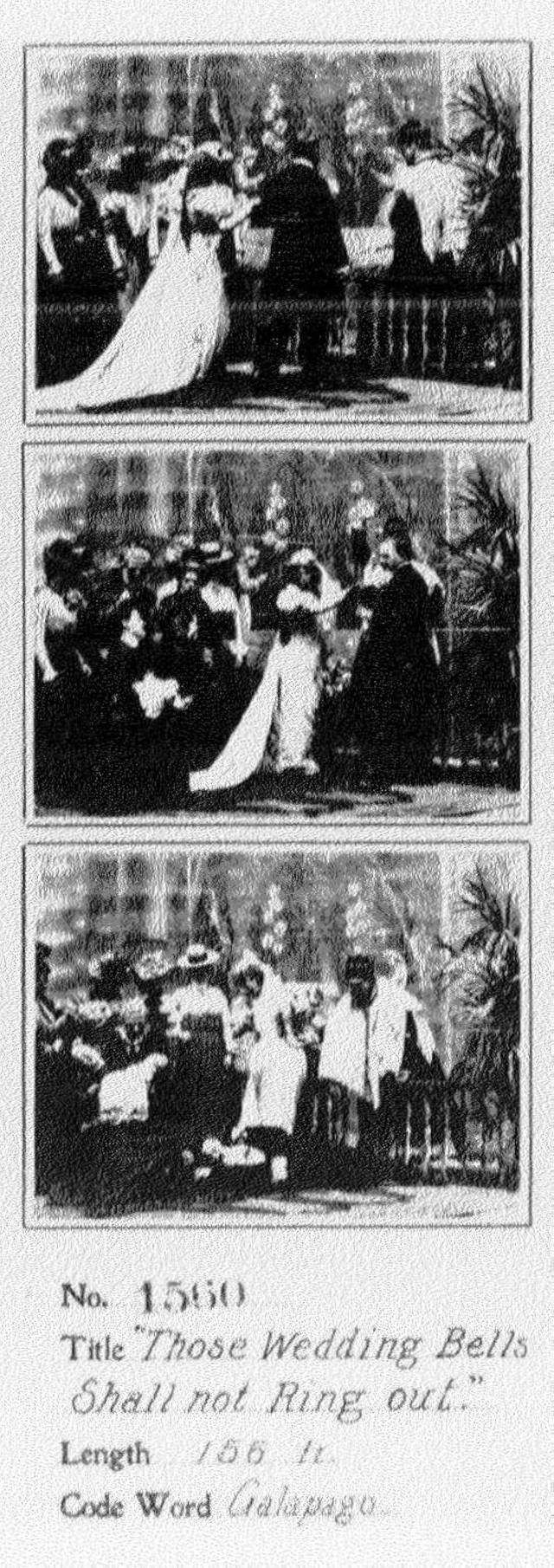 Those Wedding Bells Shall Not Ring Out (1900) afişi