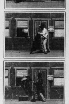 The Tramp And The Burglar (1900) afişi