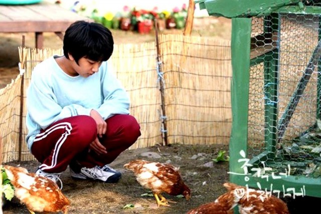 Bachelor's Vegetable Store Fotoğrafı