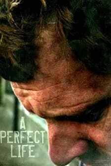 A Perfect Life (2011) afişi