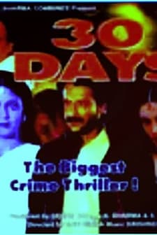 30 Days (2004) afişi
