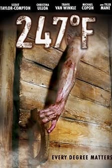 247°F (2011) afişi