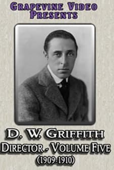 Her Terrible Ordeal (1910) afişi