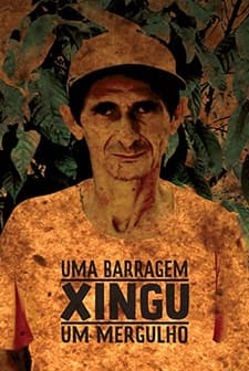 Farklı Kültürler (2012) afişi