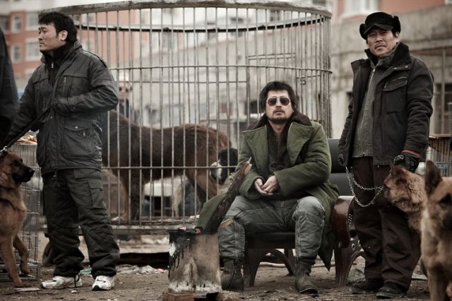 Ölüm Denizi fotoğrafı