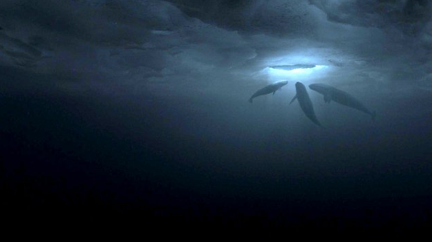 Büyük Mucize fotoğrafı