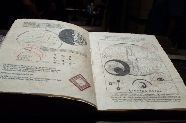 Muhteşem Yaratıklar Fotoğrafı