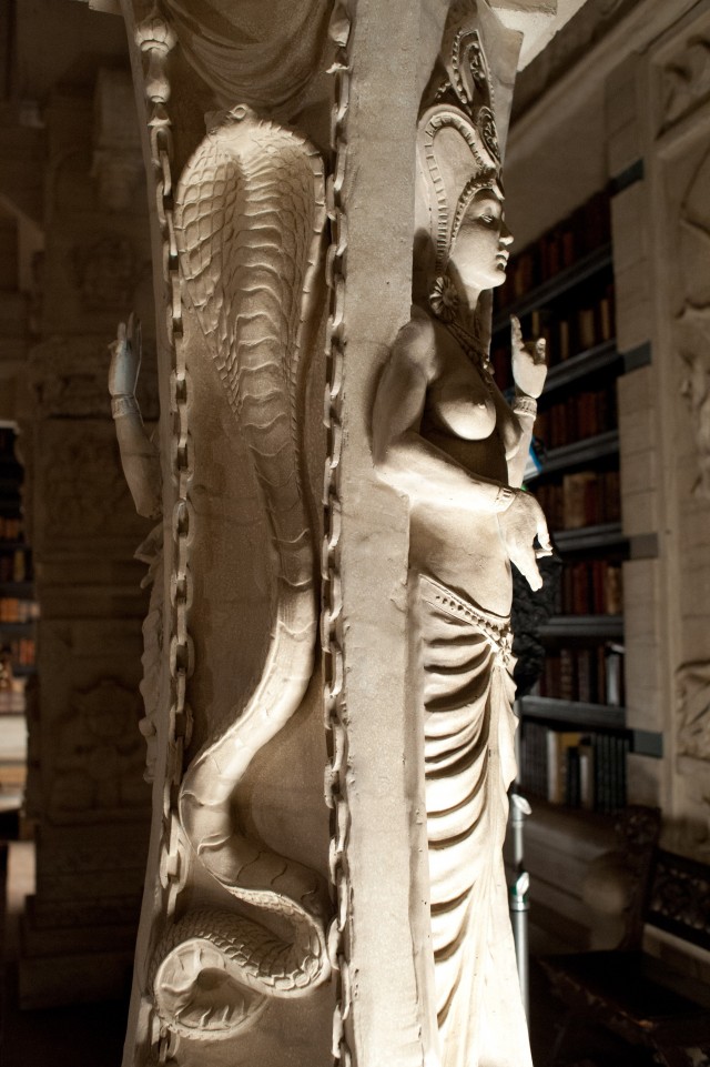 Muhteşem Yaratıklar Fotoğrafı