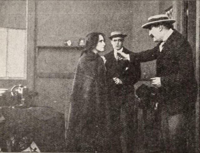 The Lily Of The Tenements (1911) afişi