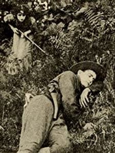 The Revenue Man And The Girl (1911) afişi